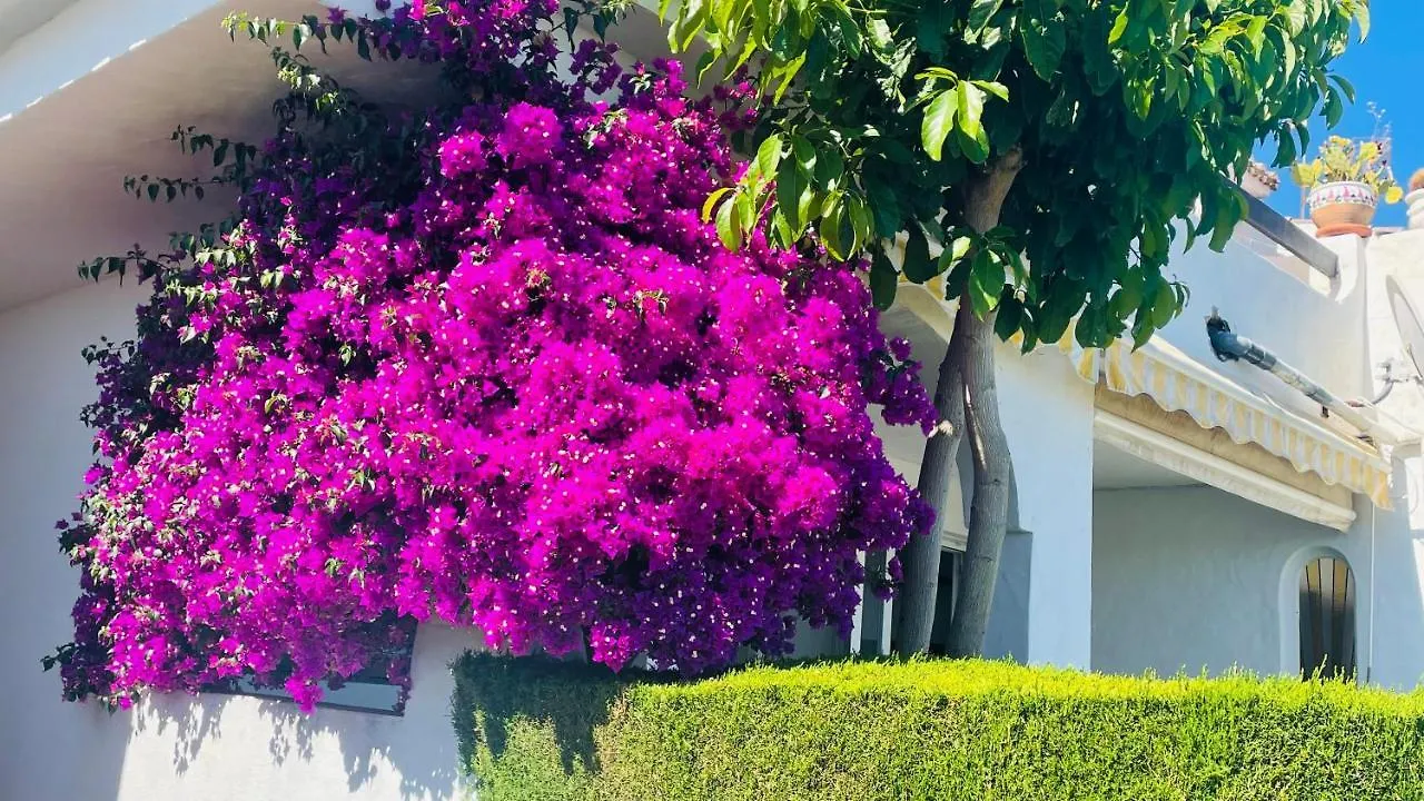 Modern Garden Apartment With A Fantastic Sea View And A Private Garden Sitio de Calahonda